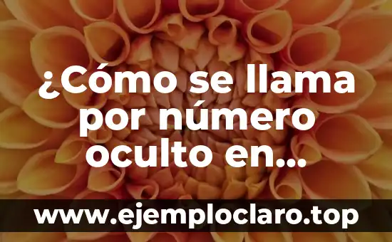Significado del Mono de WhatsApp 4 ¿Cómo se llama por número oculto en WhatsApp?