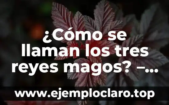 Como Hacer el Video de los Reyes Magos 5 ¿Cómo se llaman los tres reyes magos? – Historia y Significado