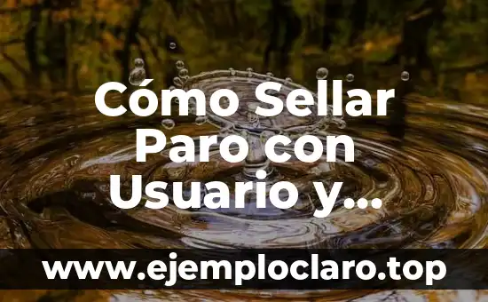 Tosca forma de ser significado 7 Cómo Sellar Paro con Usuario y Contraseña de Forma Segura
