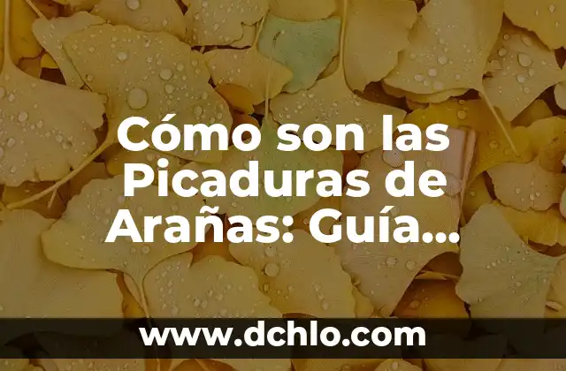 El misterioso mundo de las arañas 7 Cómo son las Picaduras de Arañas: Guía Completa y Detallada