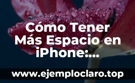 Como Hacer Dinero sin Tener Nada 8 Cómo Tener Más Espacio en iPhone: Soluciones y Trucos Prácticos