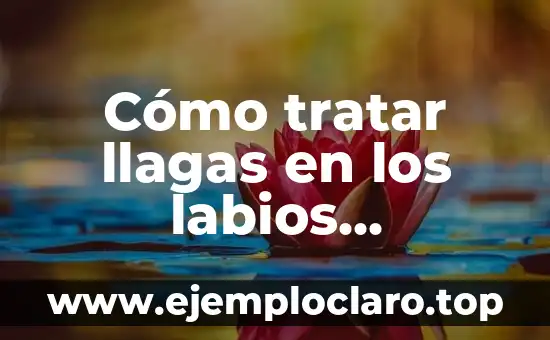Intención de tratar: significado y ventajas 3 Cómo tratar llagas en los labios genitales: Fotos y soluciones