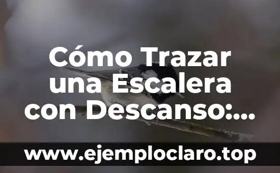 Cómo Trazar una Escalera con Descanso: Guía Detallada y Completa