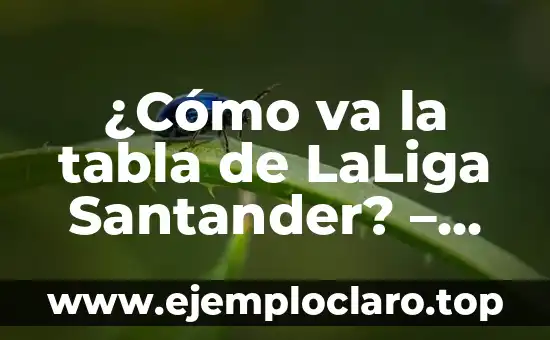 Como queda la clasificación de la Liga Santander 6 ¿Cómo va la tabla de LaLiga Santander? – Actualización en tiempo real