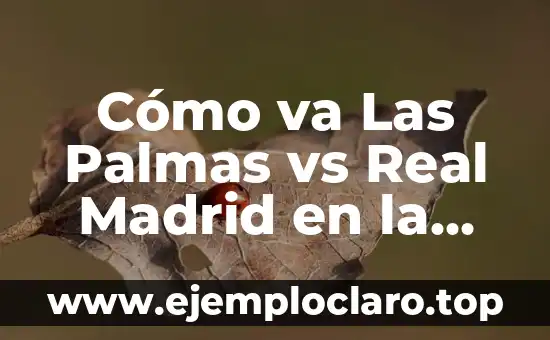 ¿Dónde televisan el partido del Atlético de Madrid vs Real Madrid? 4 Cómo va Las Palmas vs Real Madrid en la historia