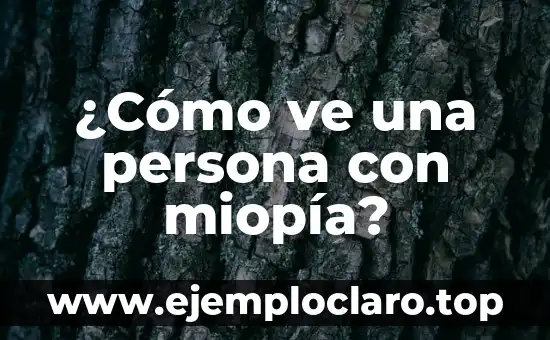 ¿Cómo ve una persona con miopía?