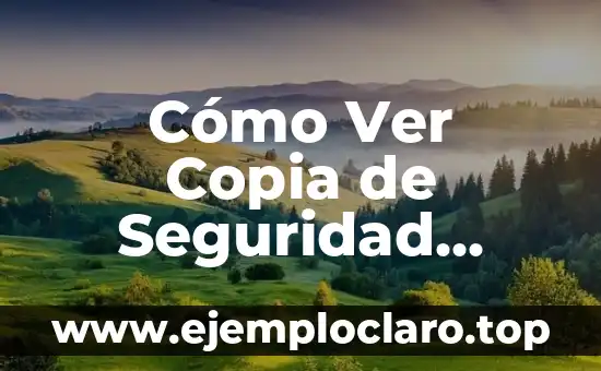 Cómo Ver Copia de Seguridad WhatsApp (Backup) de Forma Segura