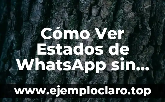 Cómo Ver Estados de WhatsApp Sin Que Se Den Cuenta sin Ser Detective 4 Cómo Ver Estados de WhatsApp sin que se den Cuenta: Una Guía Completa