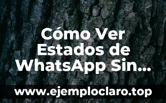 Cómo Ver Estados de WhatsApp Sin Ser Visto: Guía Única y Actualizada