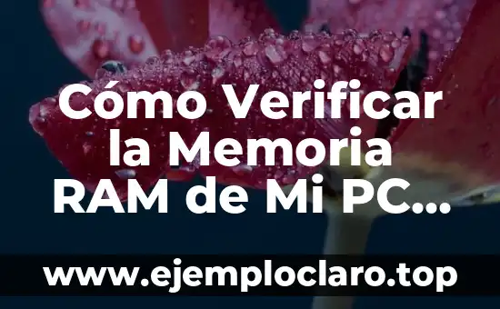 ¿Cómo saber si mi hijo es autista? 8 Cómo Verificar la Memoria RAM de Mi PC (¡Guía Completa!)