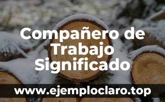 Compañero de Trabajo Significado