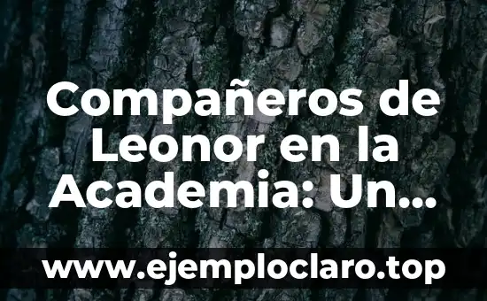 Compañeros de Leonor en la Academia: Un Vistazo a sus Relaciones