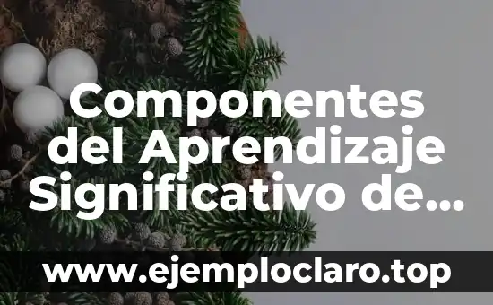 Concepto de Aprendizaje Significativo y Ejemplos 6 Componentes del Aprendizaje Significativo de Ausubel
