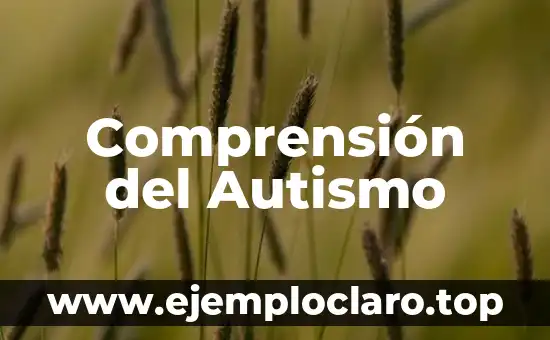 Término de Significado de Repartir: Comprensión del Concepto 5 Comprensión del Autismo