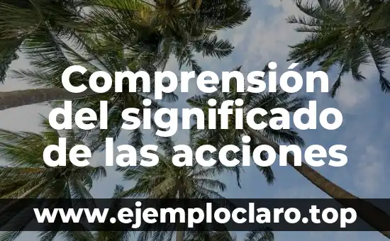 Término de Significado de Repartir: Comprensión del Concepto 3 Comprensión del significado de las acciones