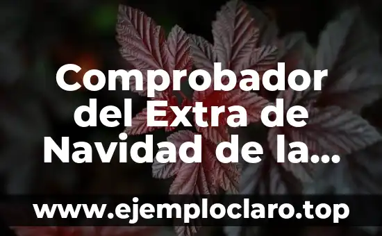 Comprobador del Extra de Navidad de la ONCE: Guía Completa para Saber si has Ganado