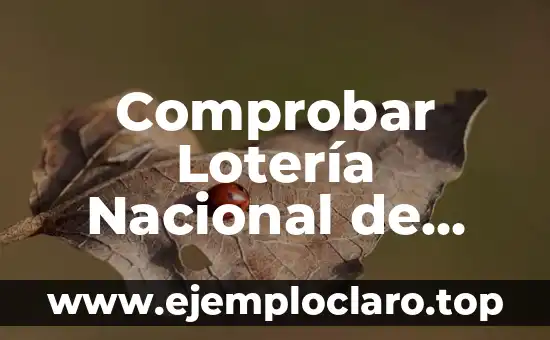 Comprobar Lotería Nacional de Navidad 22 de Diciembre: Resultados y Premios
