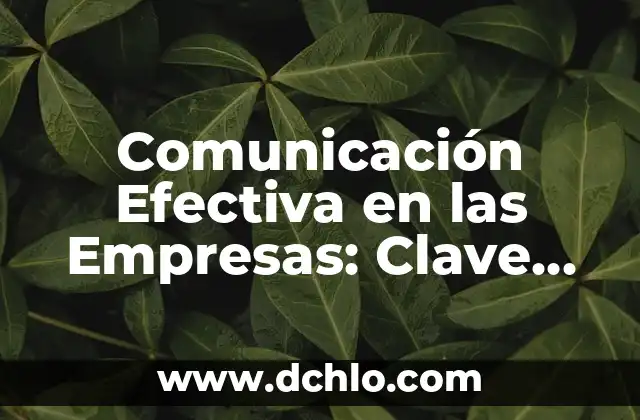 El arte de nombrar empresas: Cuando el nombre habla por sí solo 5 Comunicación Efectiva en las Empresas: Clave del Éxito Empresarial