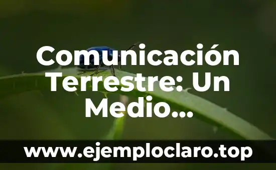 Comunicación Terrestre: Un Medio Fundamental en Nuestra Sociedad
