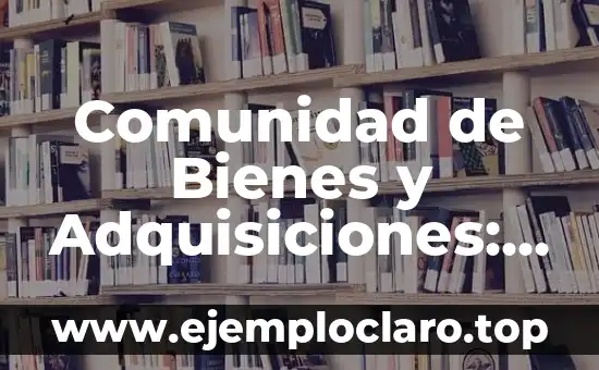 Comunidad de Bienes y Adquisiciones: Un Concepto Legal Integral