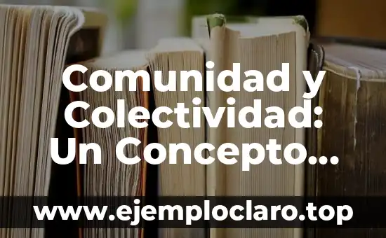 Comunidad y Colectividad: Un Concepto Social Fundamental