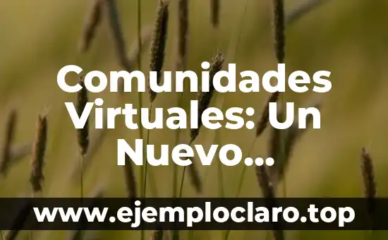 Comunidades Virtuales: Un Nuevo Paradigma Social