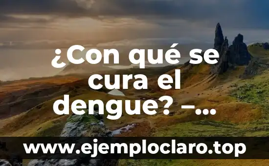 ¿Con qué se cura el dengue? – Tratamientos y Remedio Naturales