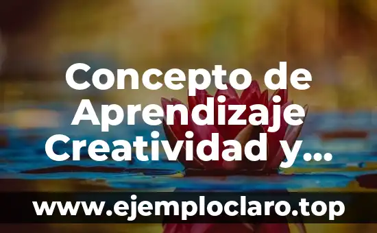 Concepto de Aprendizaje Creatividad y Significativo