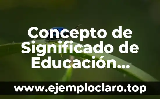 Concepto de Significado de Educación Física