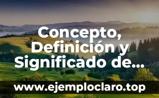 Concepto, Definición y Significado de ANSI