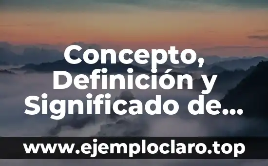 Concepto, Definición y Significado de DIN