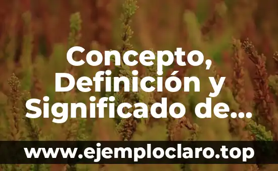Concepto, Definición y Significado de la FDA