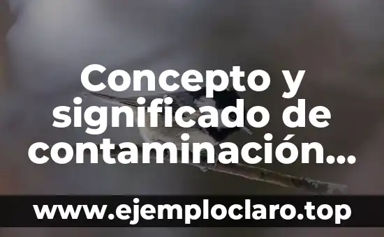 Concepto y significado de contaminación atmosférica
