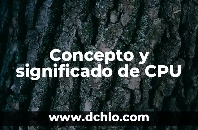 ¿Qué es un Procesador de Ordenador? (CPU) - Definición y Funciones 5 Concepto y significado de CPU