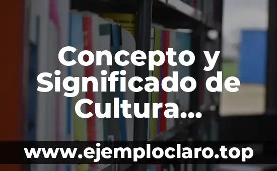 Concepto y Significado de Responsabilidad del Estado 3 Concepto y Significado de Cultura Ambiental