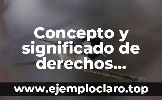 ¿Qué es un Terremoto? Concepto y Definición 6 Concepto y significado de derechos humanos