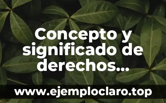 Concepto y Significado de Filosofía PDF 8 Concepto y significado de derechos naturales