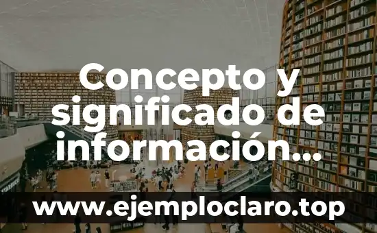 Concepto y significado de información PDF