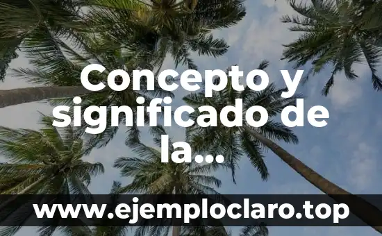 ¿Qué es un Terremoto? Concepto y Definición 5 Concepto y significado de la administración