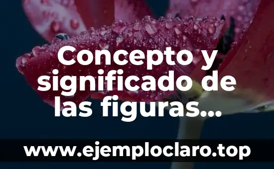 Concepto y significado de las figuras trigonométricas