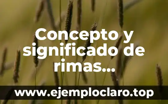 Concepto y significado de rimas asonantes
