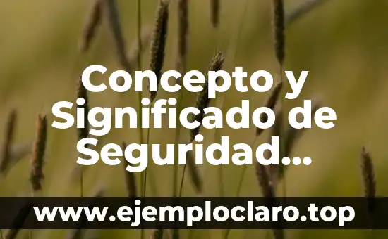 Concepto y Significado de Seguridad Ciudadana