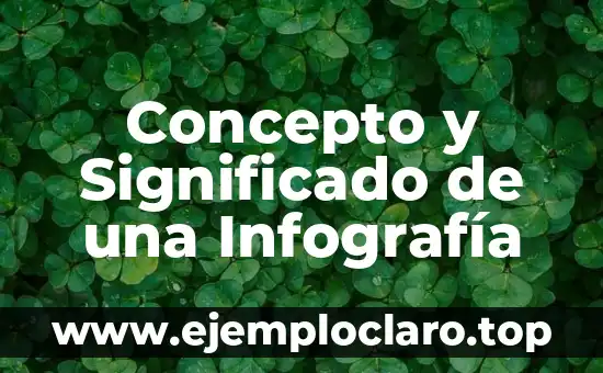 Concepto y Significado de una Infografía