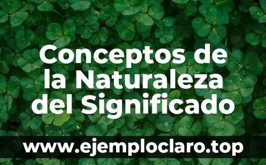 El Concepto y Significado de Zangolotear: Una Guía Completa 5 Conceptos de la Naturaleza del Significado