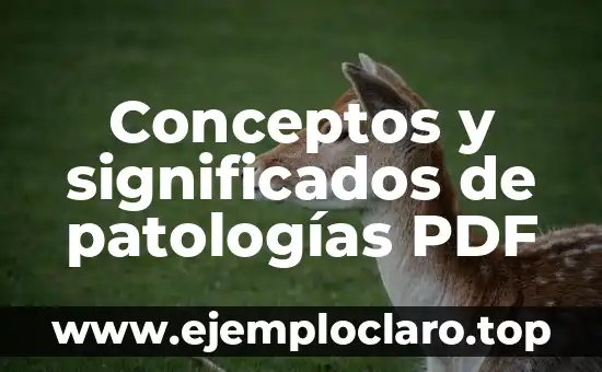 Concepto y significado de emisor en formato PDF 5 Conceptos y significados de patologías PDF