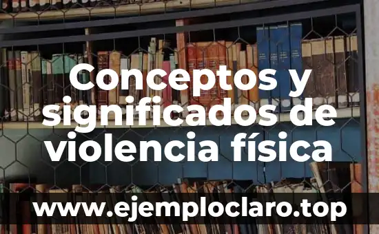 El Concepto de Cifras Significativas en Física 4 Conceptos y significados de violencia física