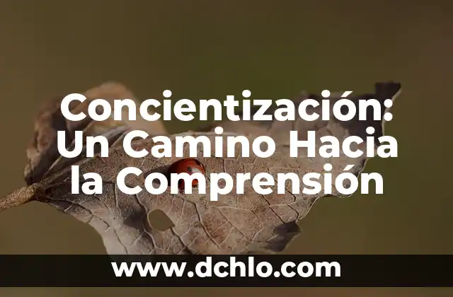 El significado de la vida: Un viaje hacia la comprensión 4 Concientización: Un Camino Hacia la Comprensión
