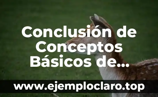 Conclusión de Conceptos Básicos de Cifra Significativa