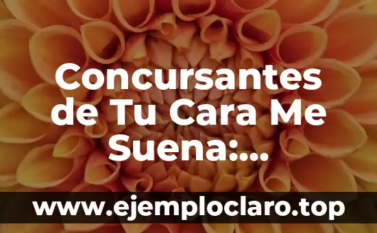 Ganador de Tu Cara Me Suena Gala 3: ¿Quién Fue el Mejor? 5 Concursantes de Tu Cara Me Suena: Descubre a los Mejores Talentos