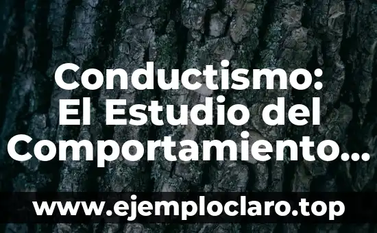 Conductismo: El Estudio del Comportamiento Humano